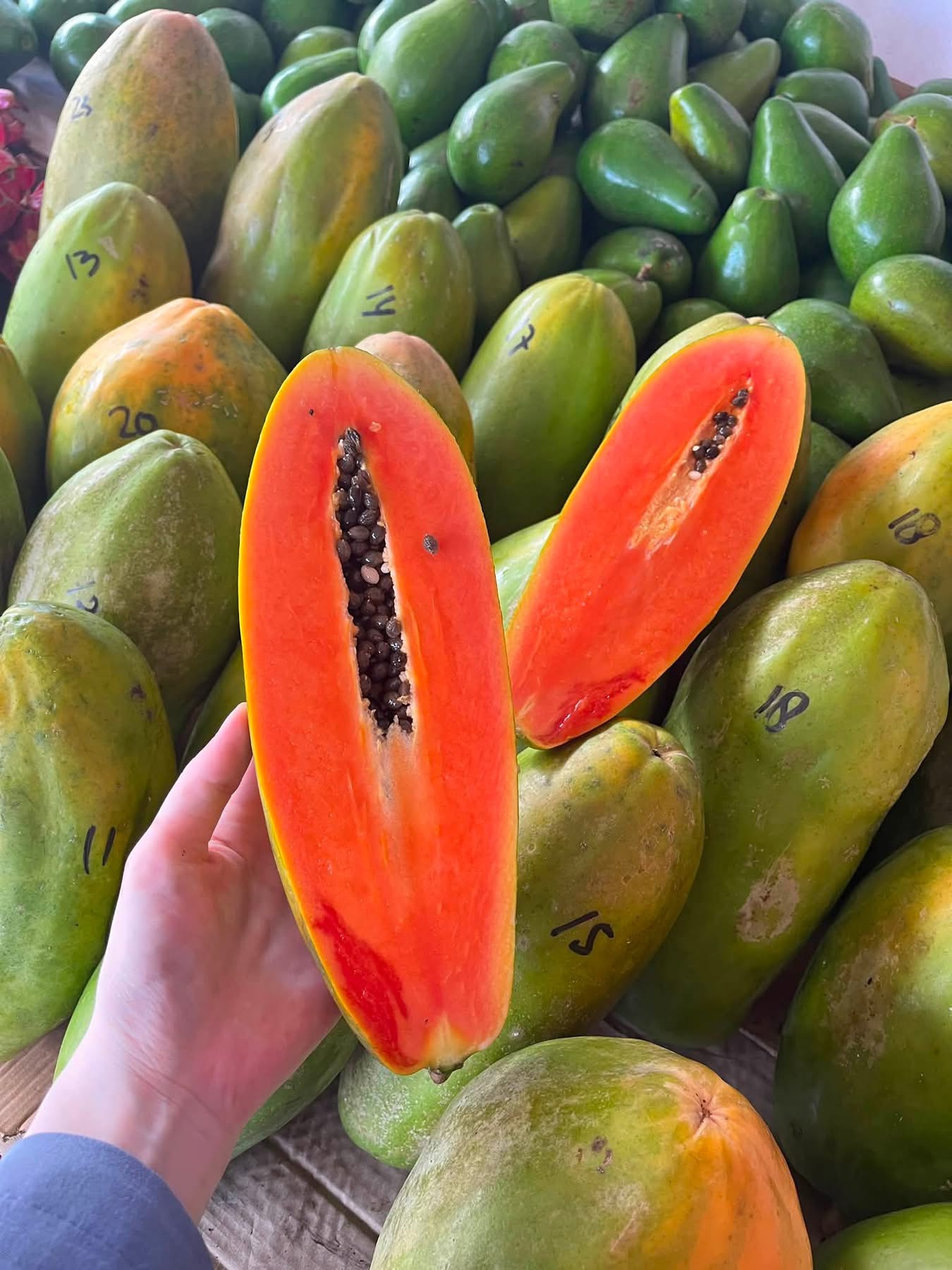 Ikon Buah Tropis