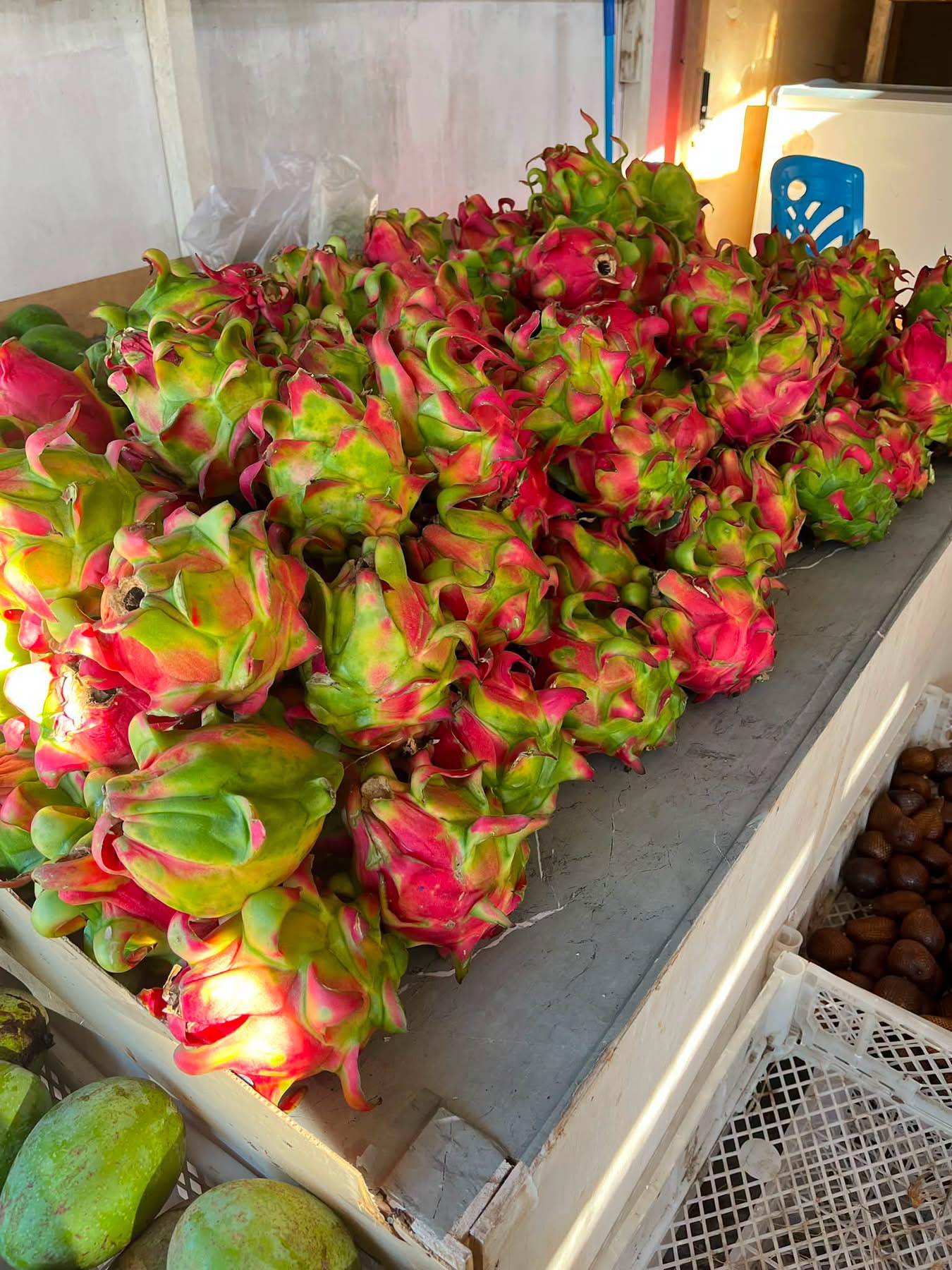 Buah Naga 30 rbu / kg