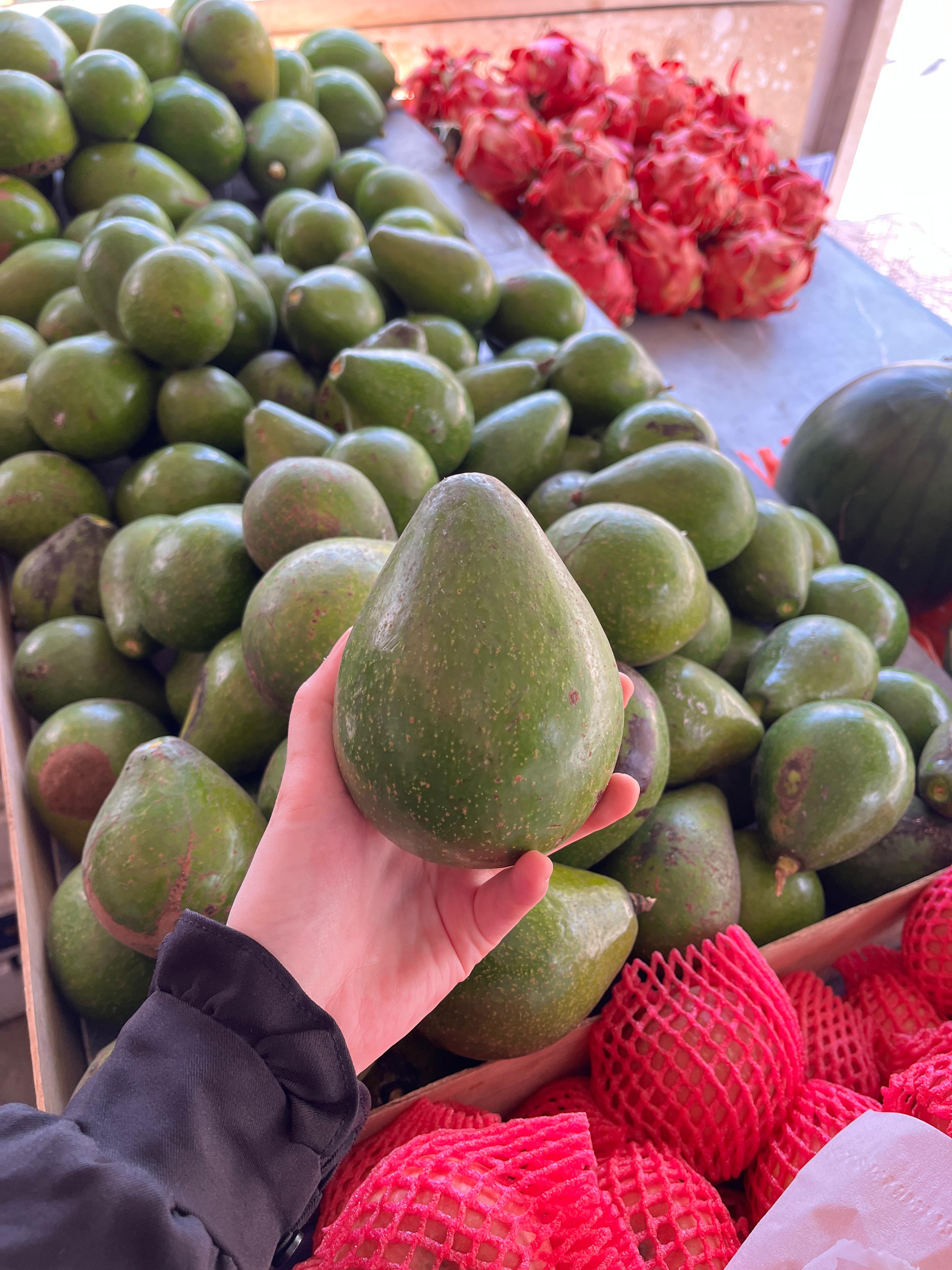 Alvokad 20 rbu / kg